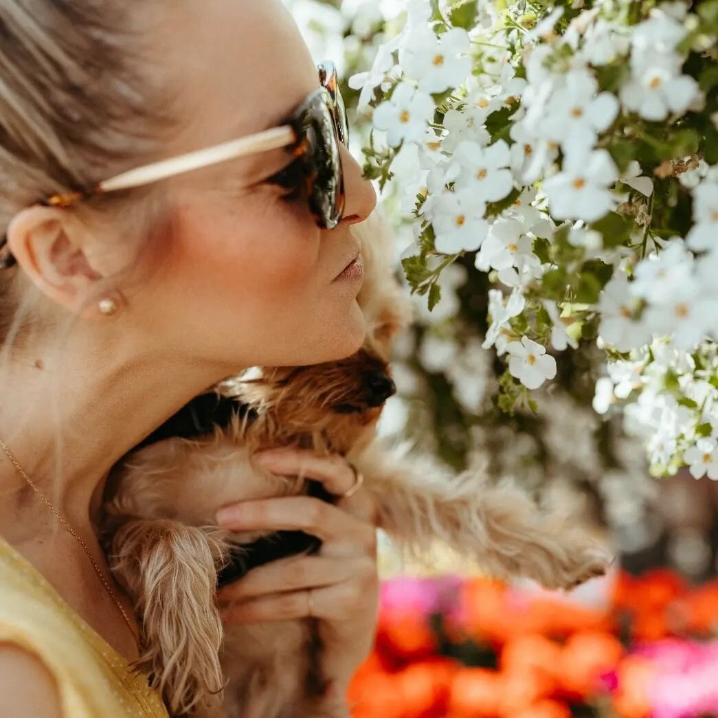 Stop
And
Smell
The
Flowers

#kansascity #chiropractor #dogsofinstagram #bennieandthejets #plantsofinstagram