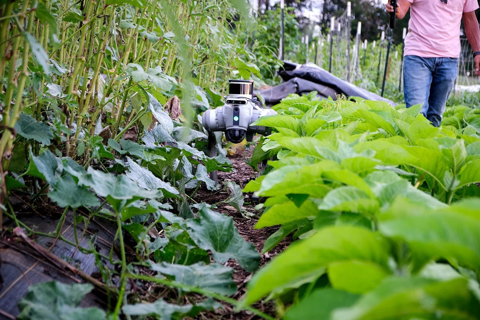 Asawana_Farms_2026-08-24_008.jpg