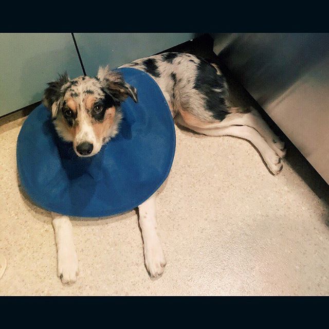 Cones, but make it fashion.