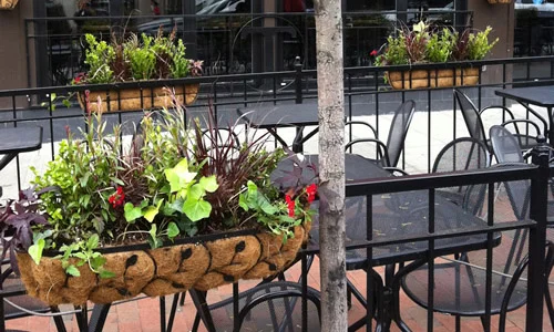 window-box-7.jpg