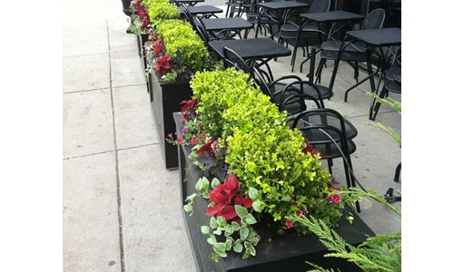 window-box-8.jpg