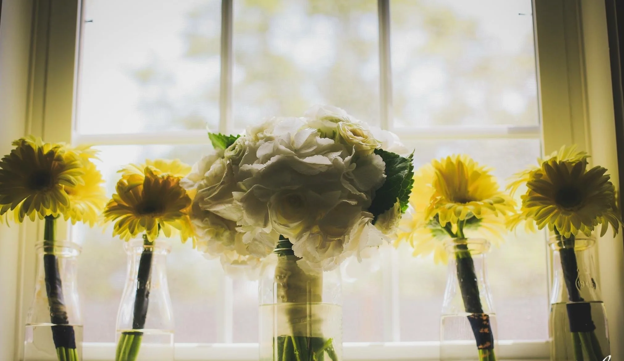 cc wedding 2.jpg