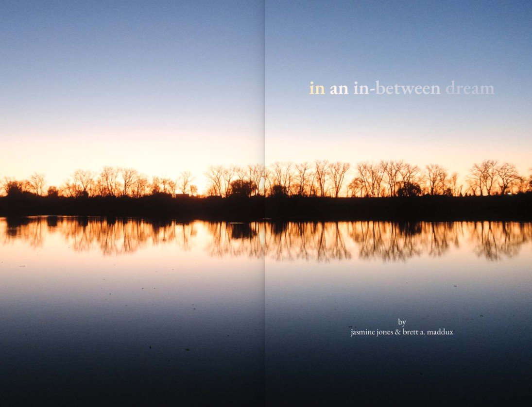 in an in-between dream interior.jpg