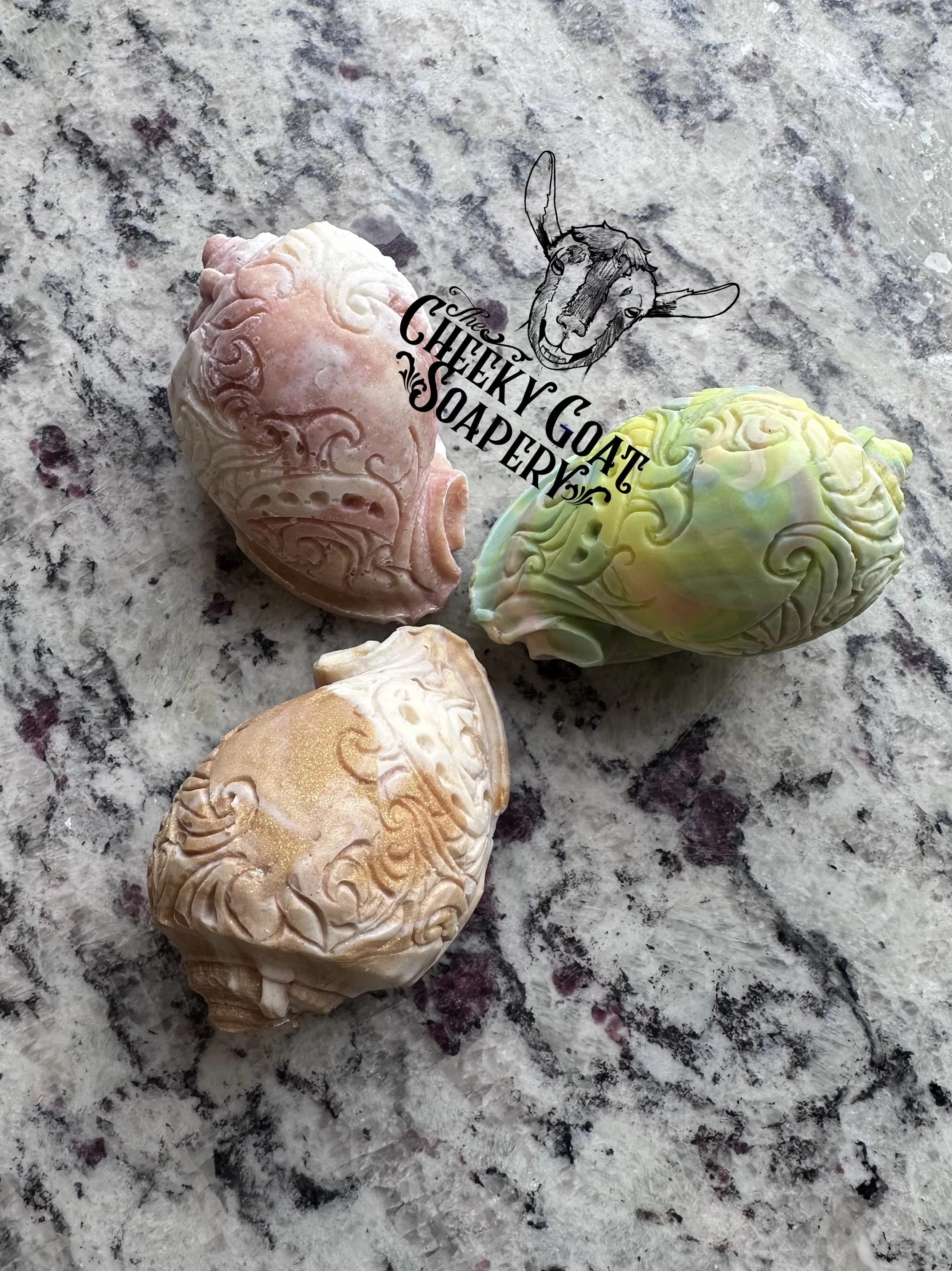 Carved SeaShells- Assorted Scents