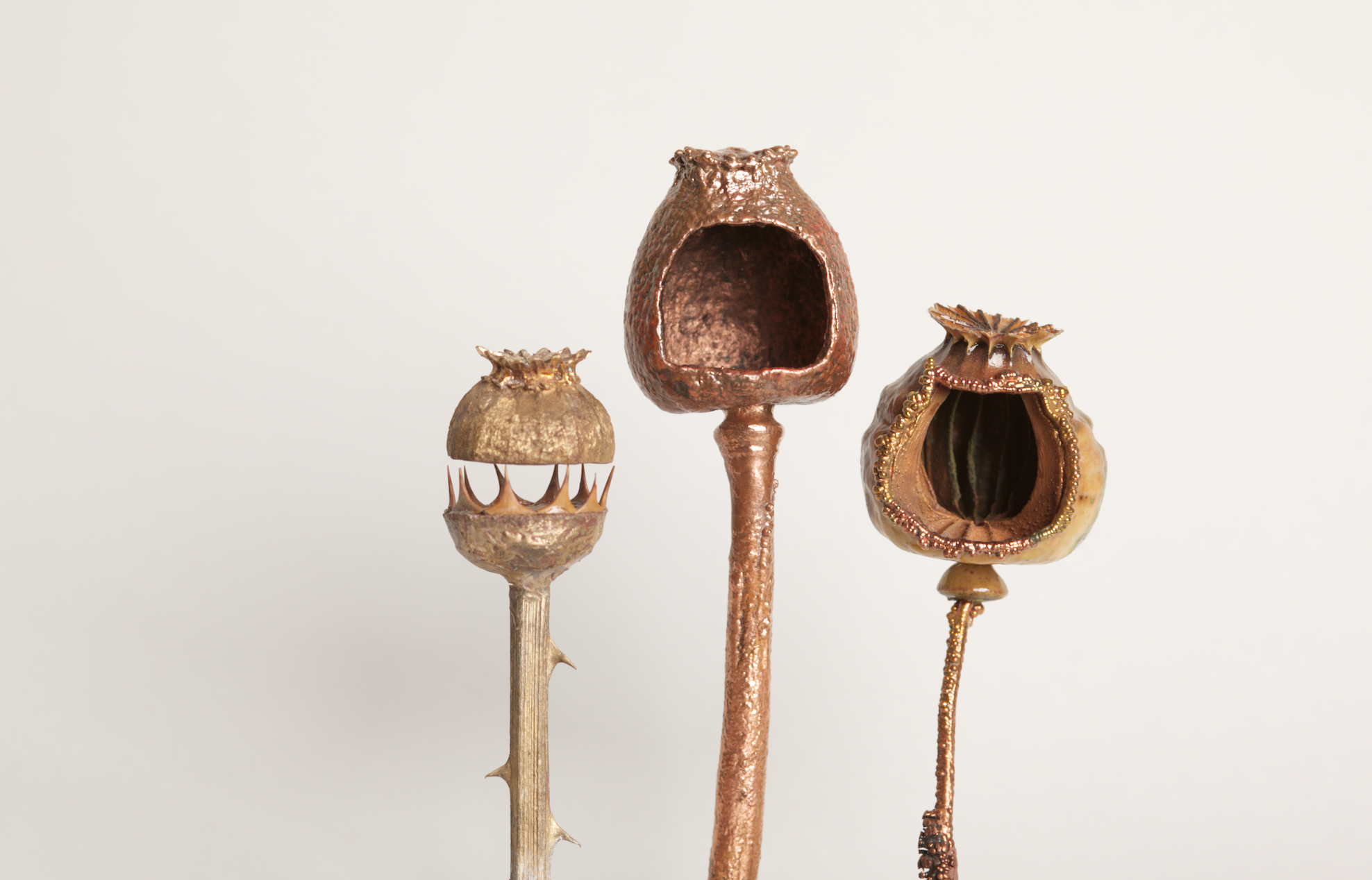 Screen Shot 2019-01-27 at 3.41.27 PM.png