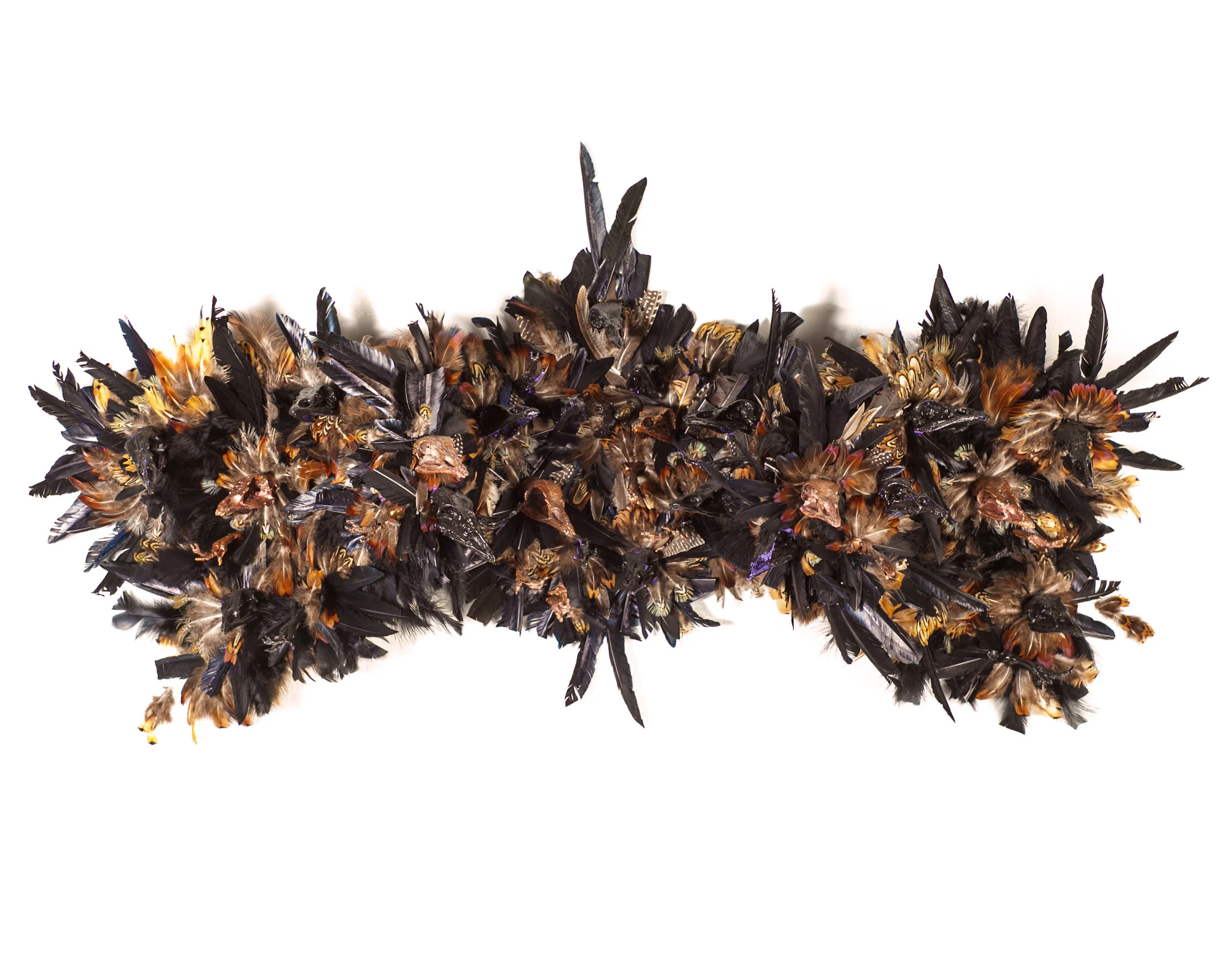 Swarm_MeghannGilligan-Koehn.jpg