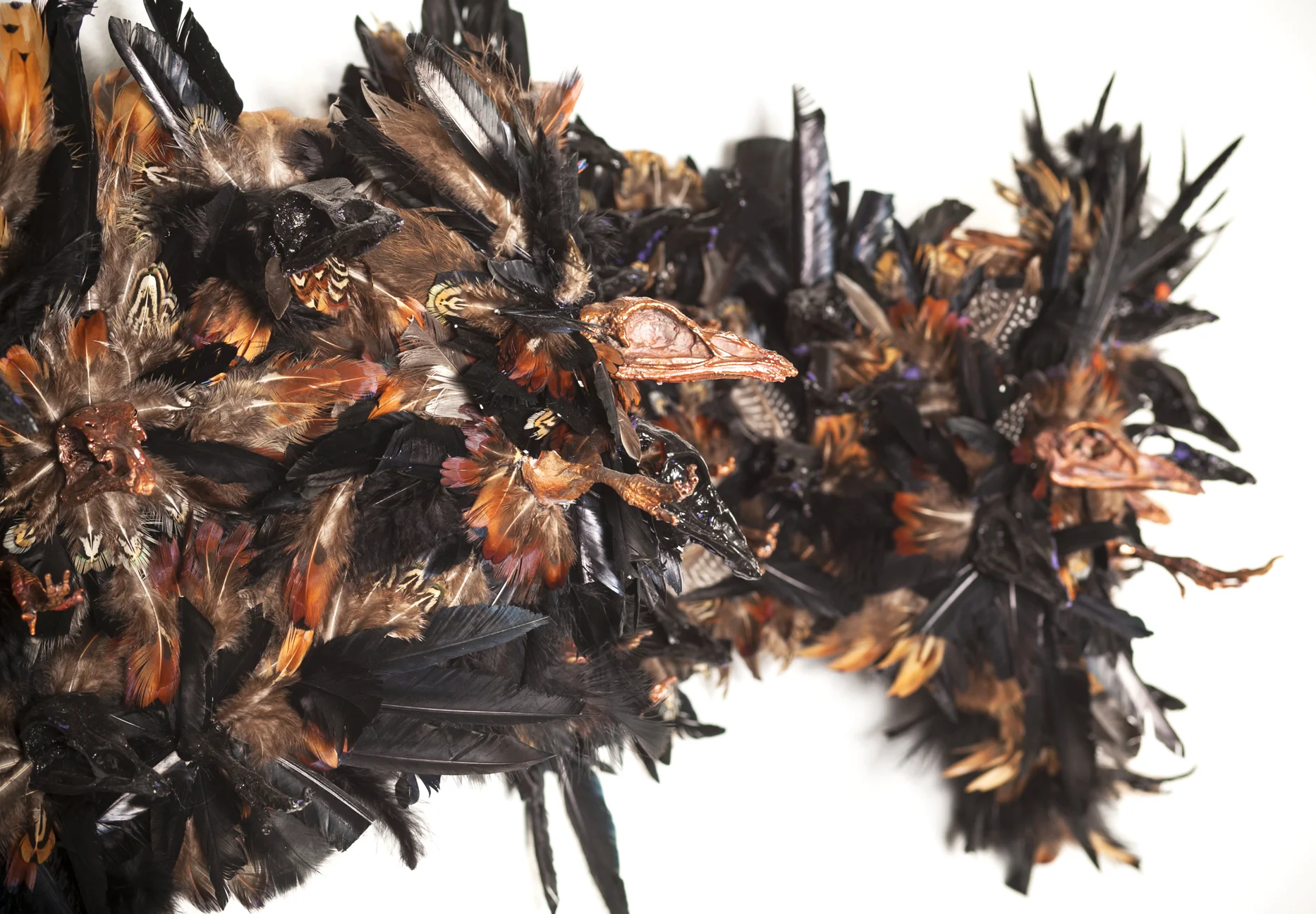 Gilligan_Swarm-detail2.jpg