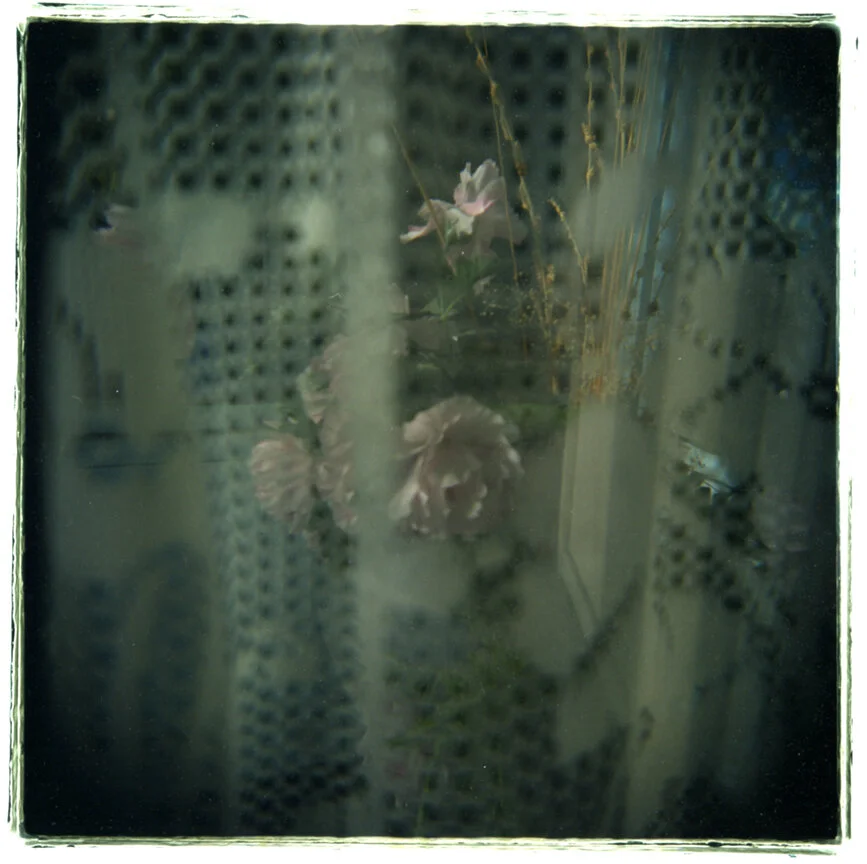 holga9web.jpg
