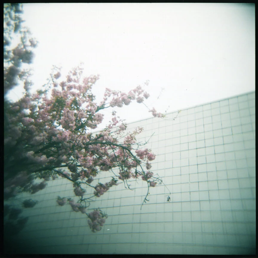 holga13_web.jpg