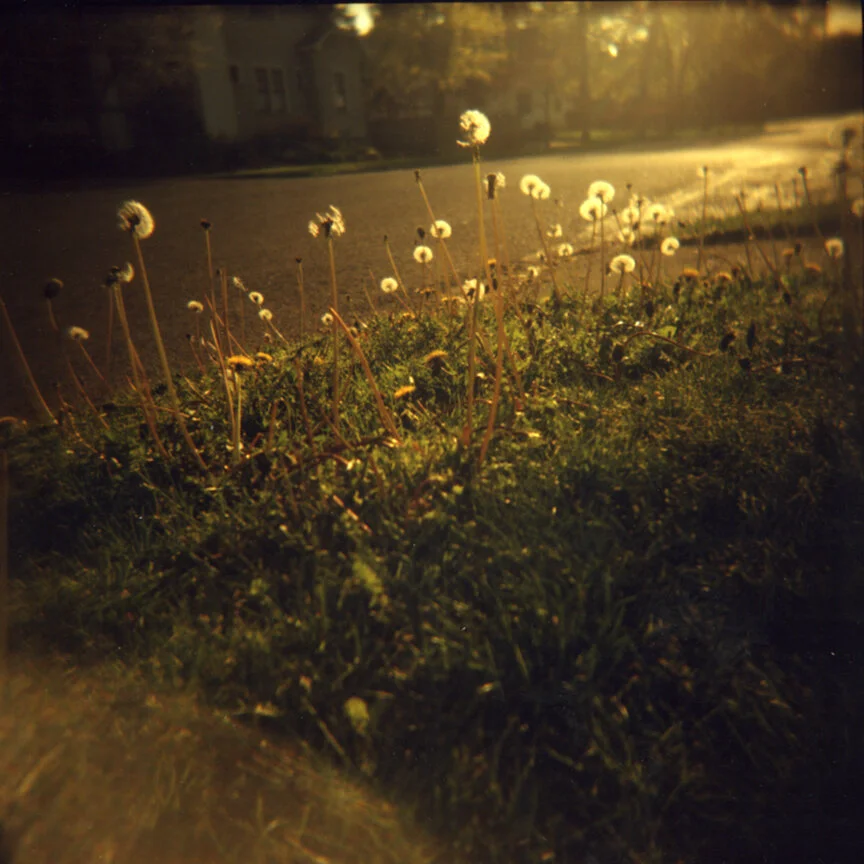 holga15web.jpg