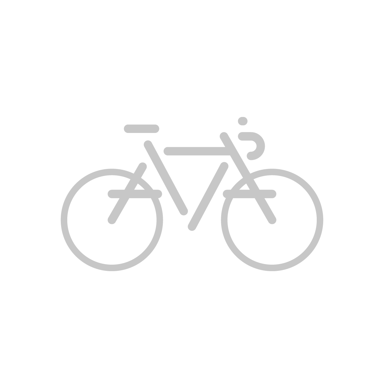 bikes-04.png