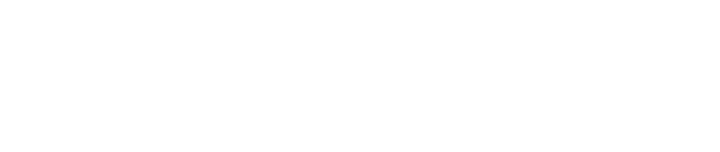 Mana Mokopuna Childrens Commissioner_White.png