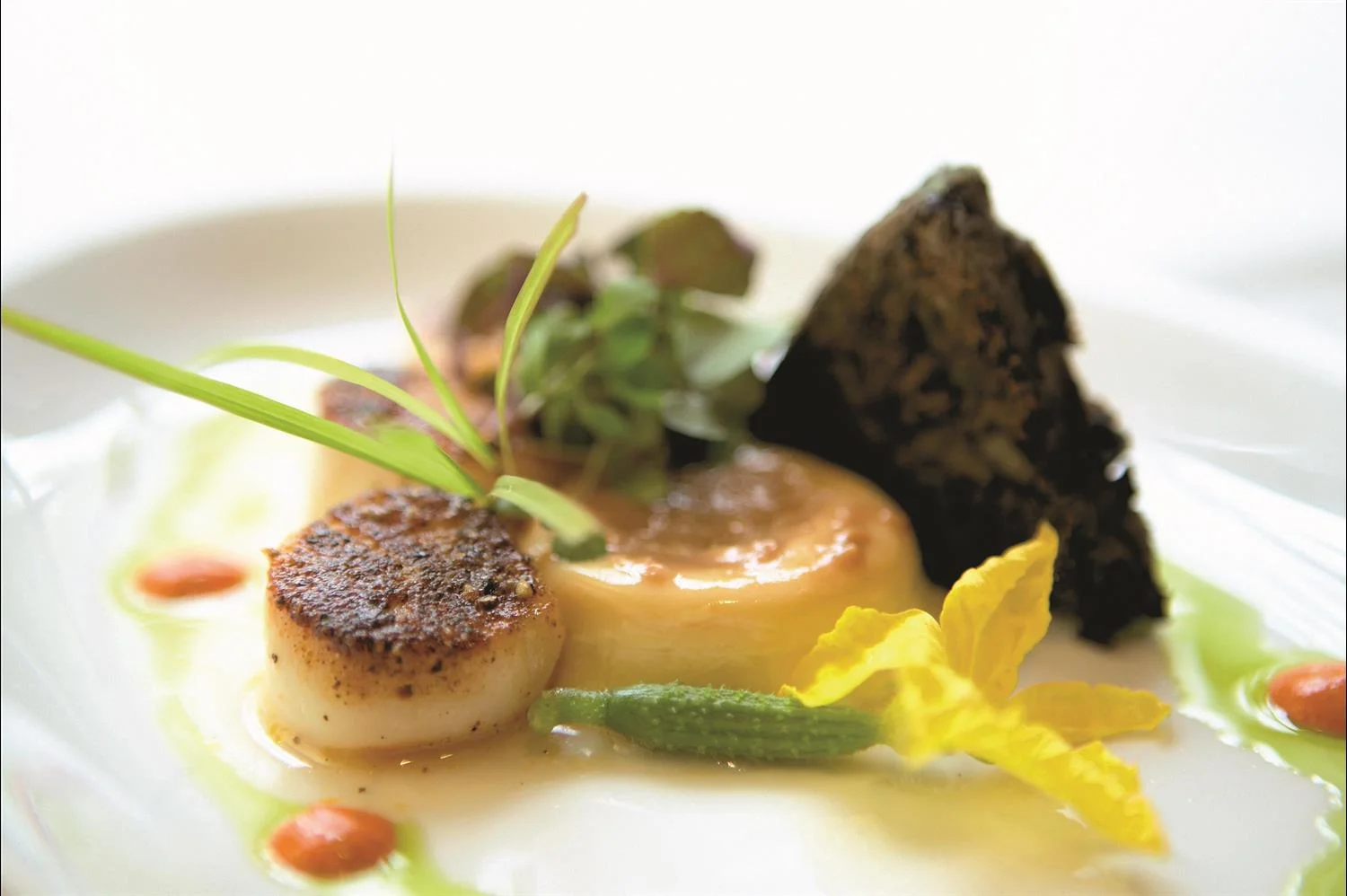 Photo courtesy of The Fairmont Sonoma Mission Inn & Spa