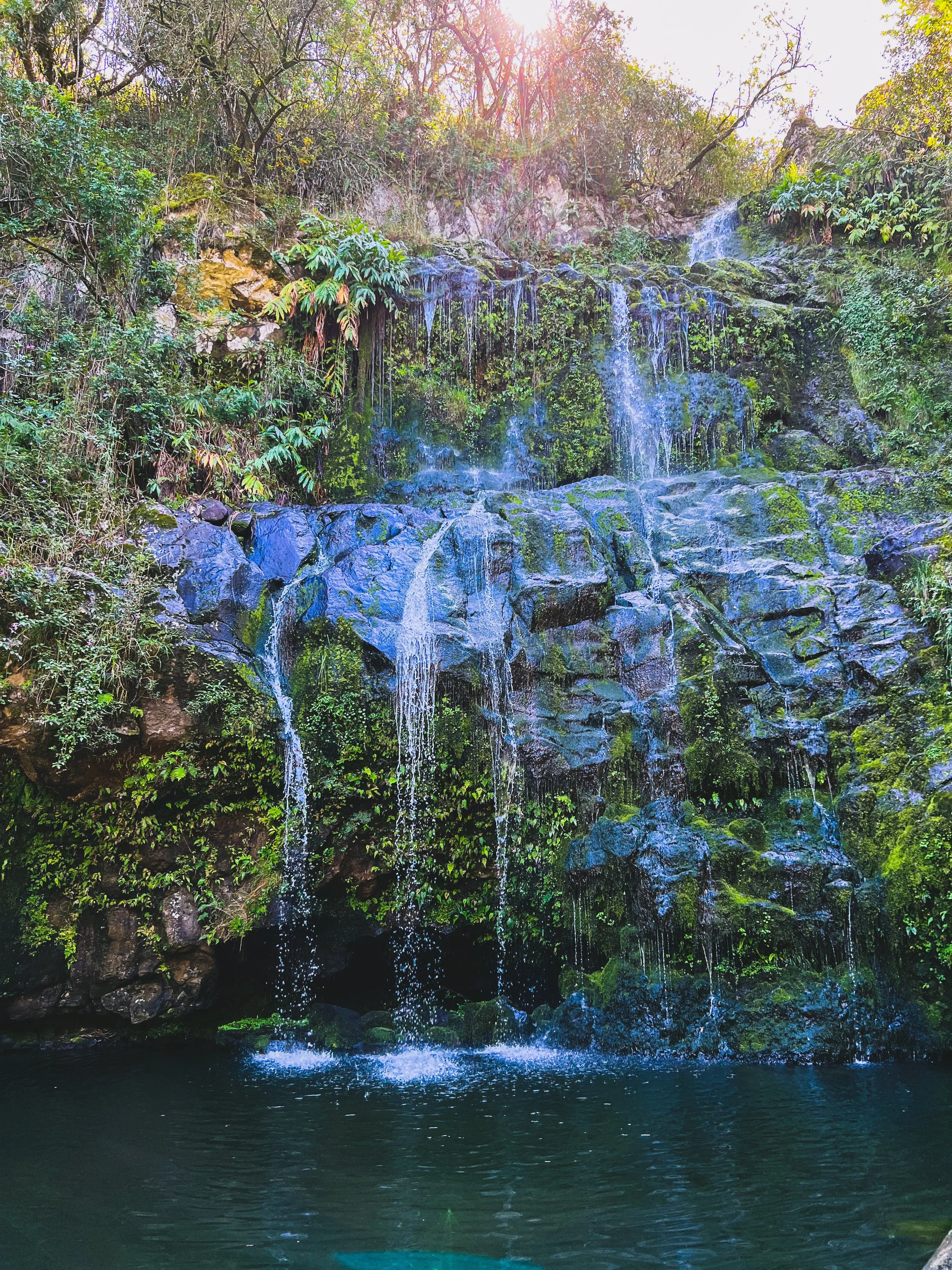 The Amazing Big Island Hiking Experience You Must Try and Why You'll Love It