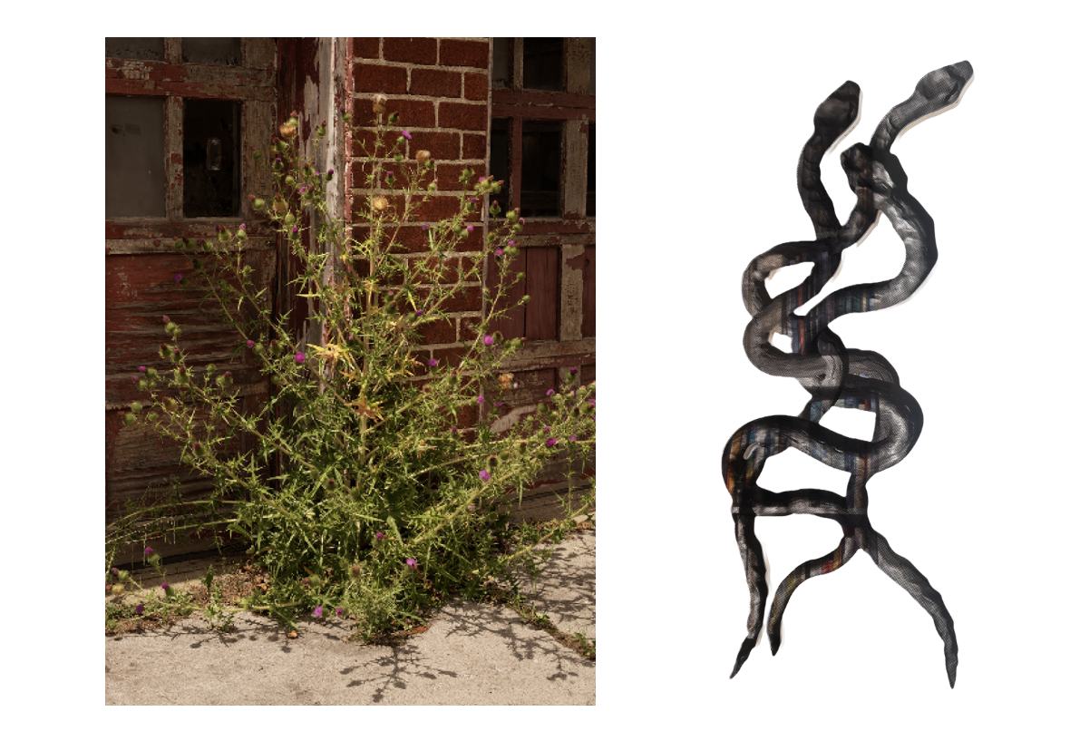 Artwork by Ryan Arthurs (left) and Eve Biddle (right)