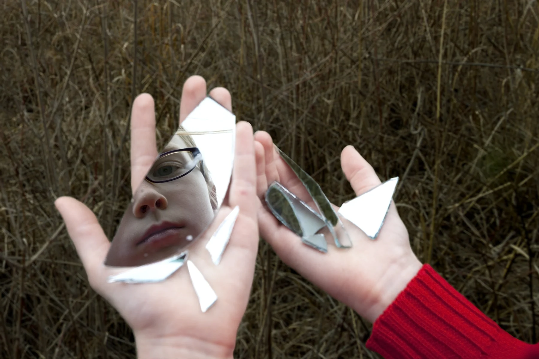 fragmented reflection.jpg