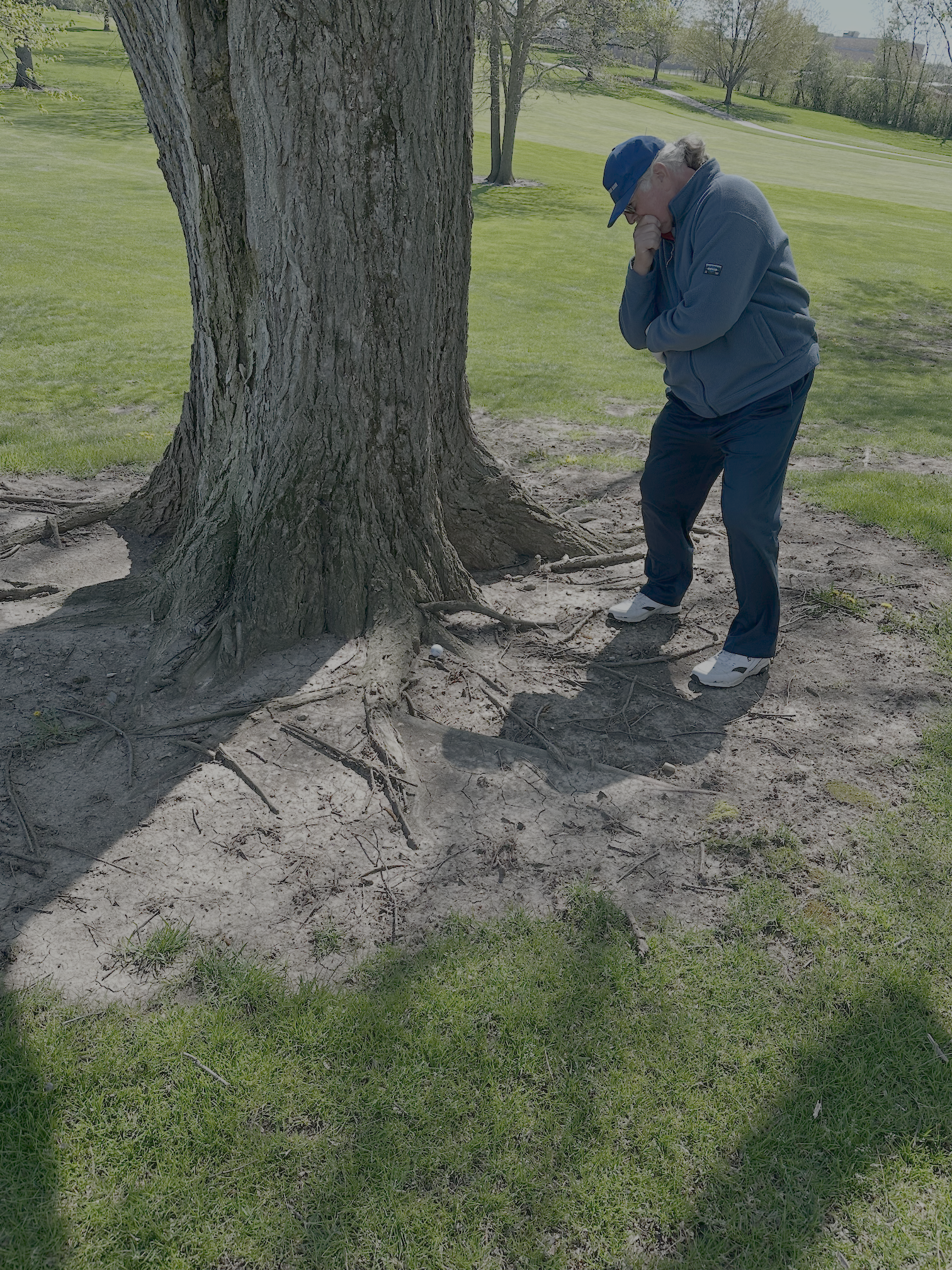Eric has Tree Trouble