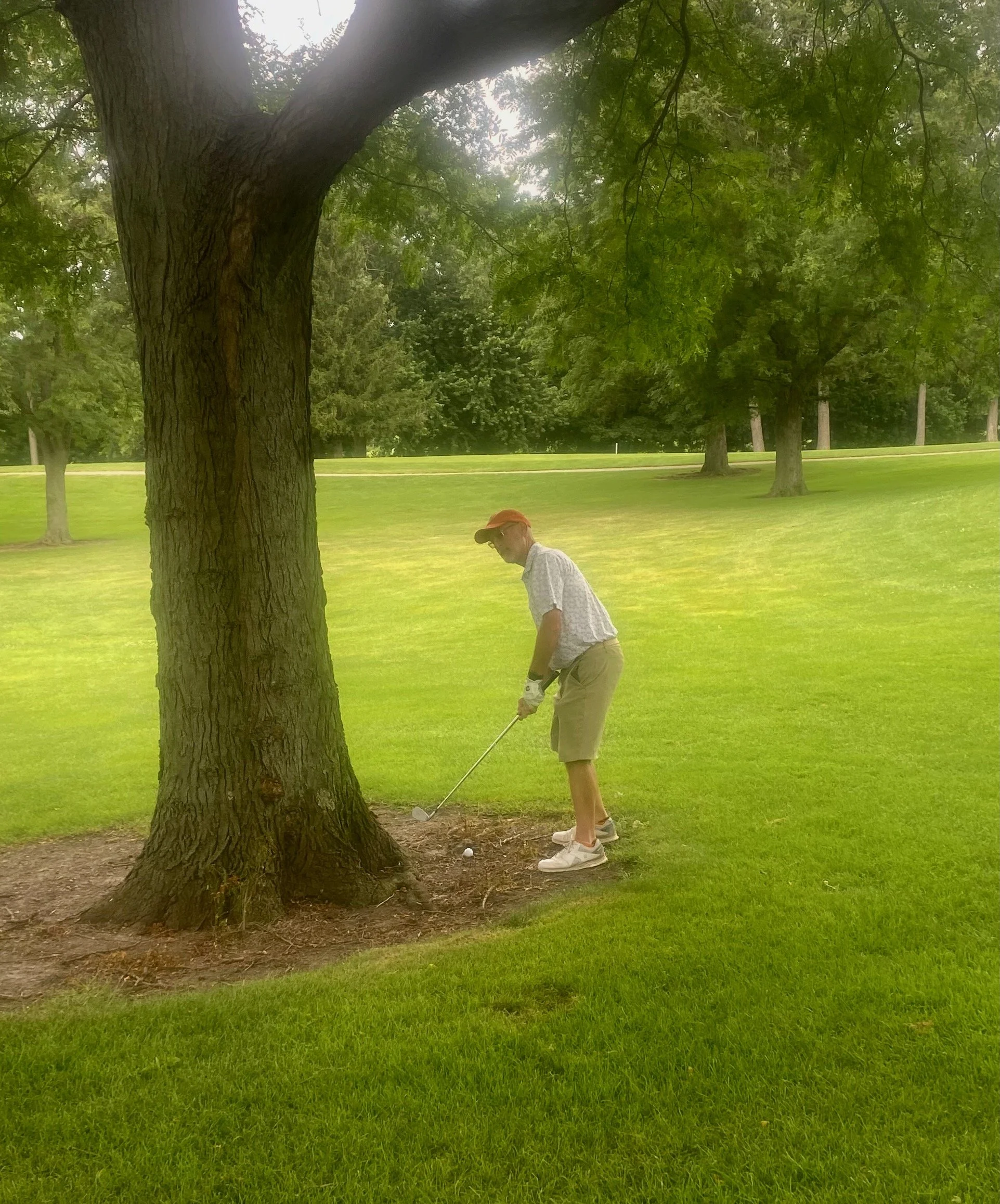 How to cut it around a tree by Mike Belford