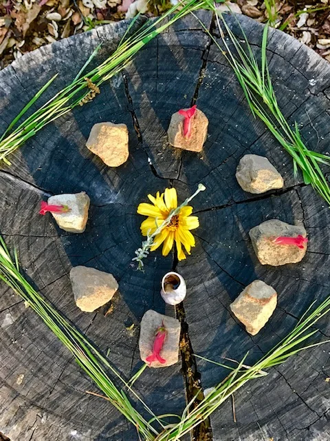 Finding Our Way Home, Published first by the Center for Humans and Nature