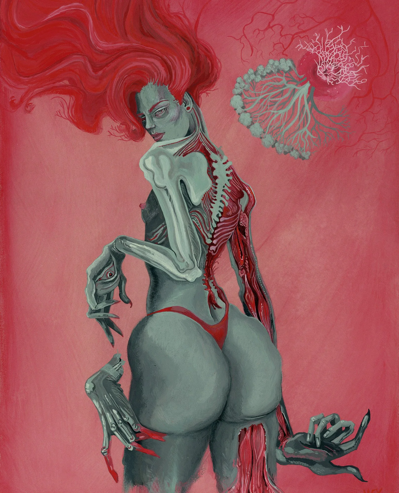 Anatomical Venus (2025)