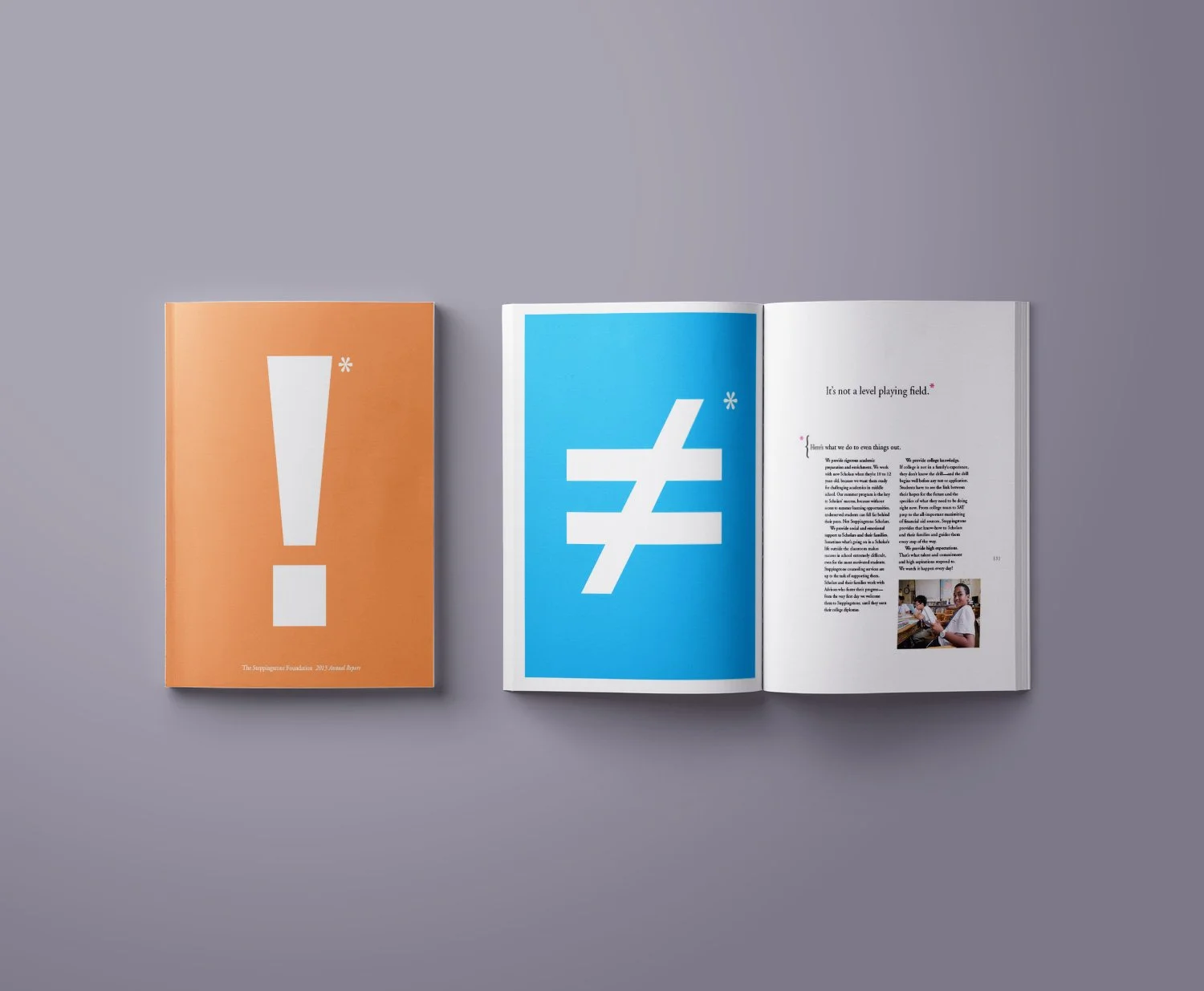 TSF_2013_Spread-2.jpg