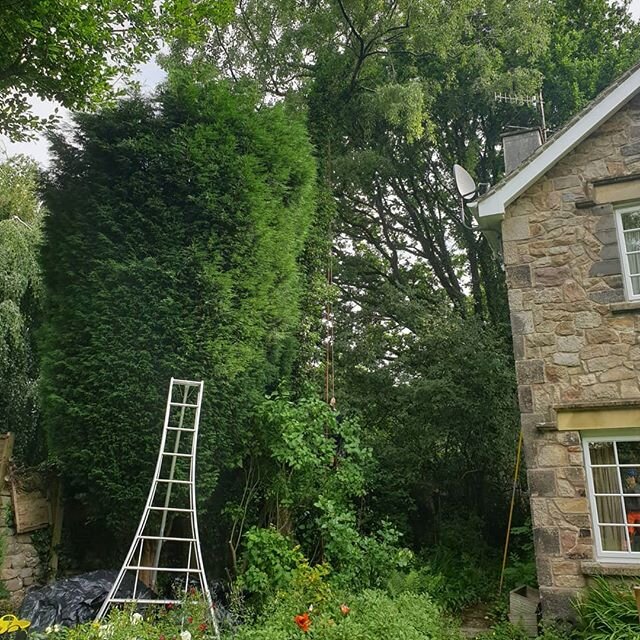 Another before, during and after set. The team helped tidy up the clients over grown trees and cleared a banking by the river.