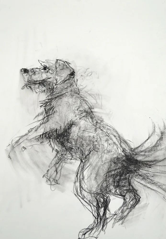 Drawing Movement & Motion ART2374 – Gesture Life Drawing, Charcoal, 36” x 24”
