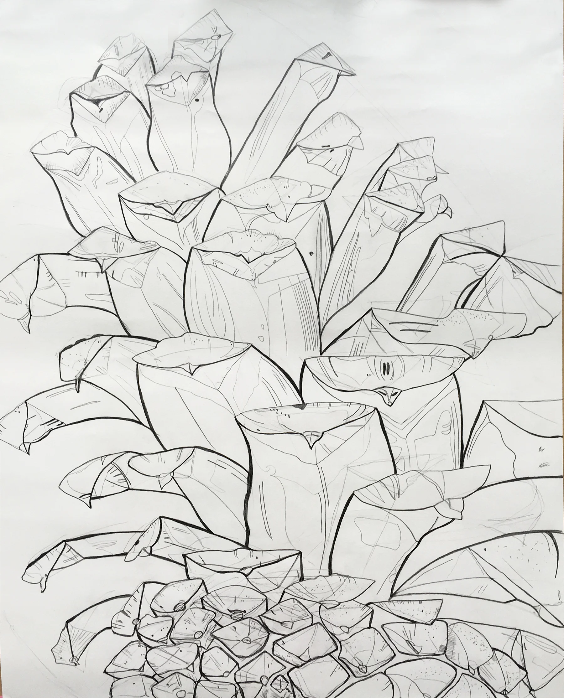 Drawing 1 - Contour Line Pinecone Drawing, Graphite, 24” x 18”
