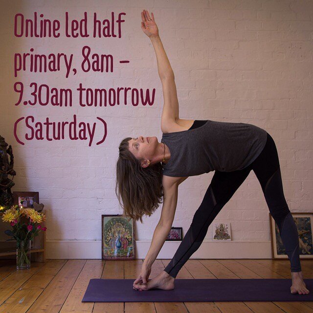 Join me for led half primary tomorrow, 8am - 9.30am via zoom. 
Please DM or check out our website for details. 🌺

#stage4restrictions #stayhome #staycalm #takecare #takepractice 🌈