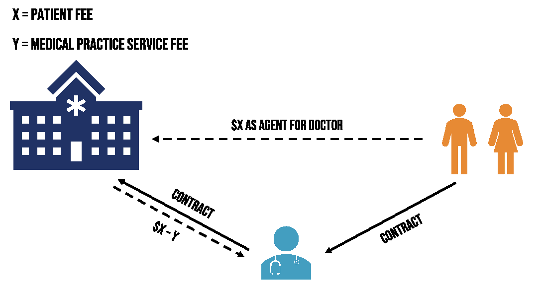 Typical-medical-practice-arrangement.png