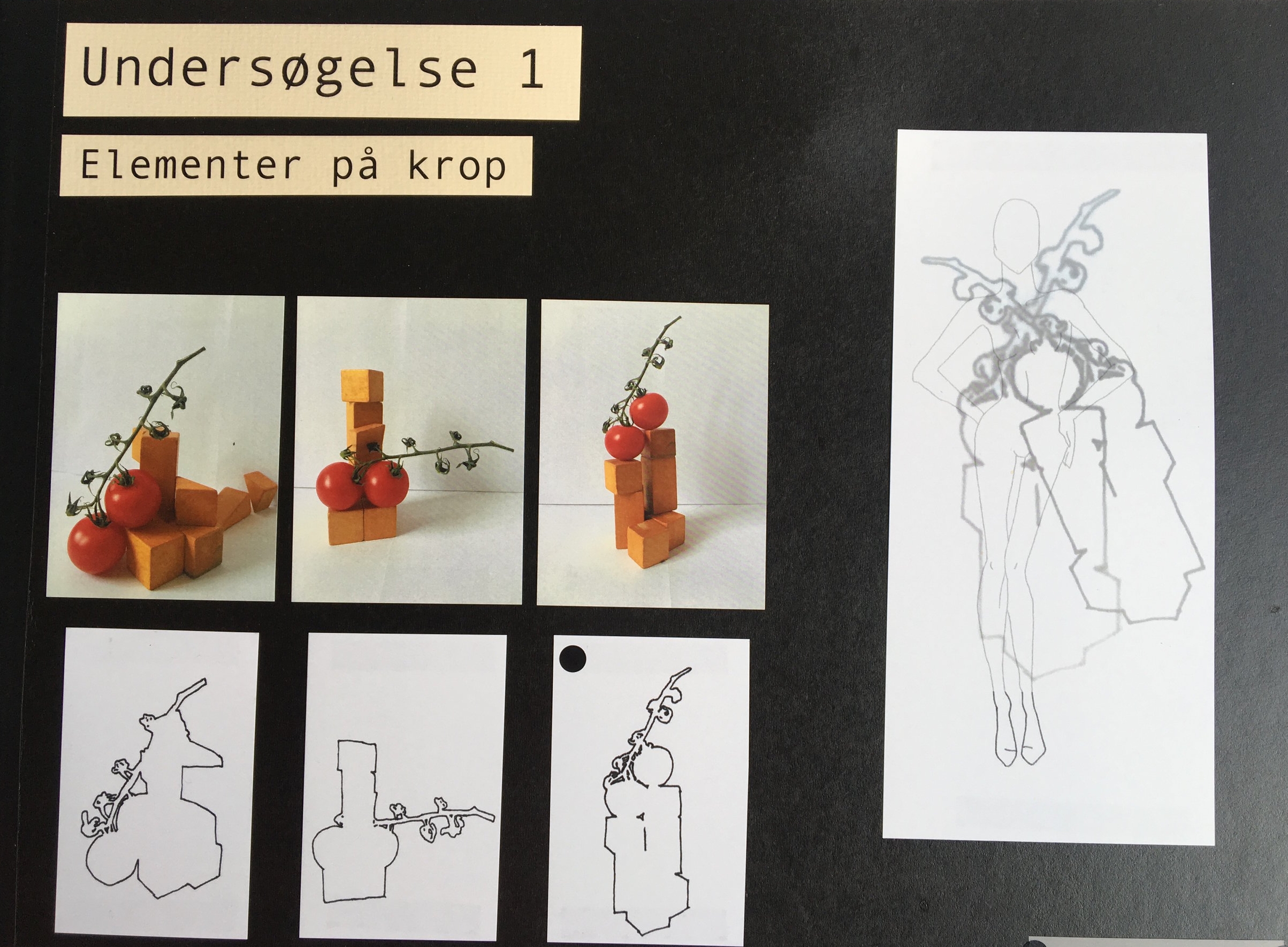 IMG_0261.jpeg