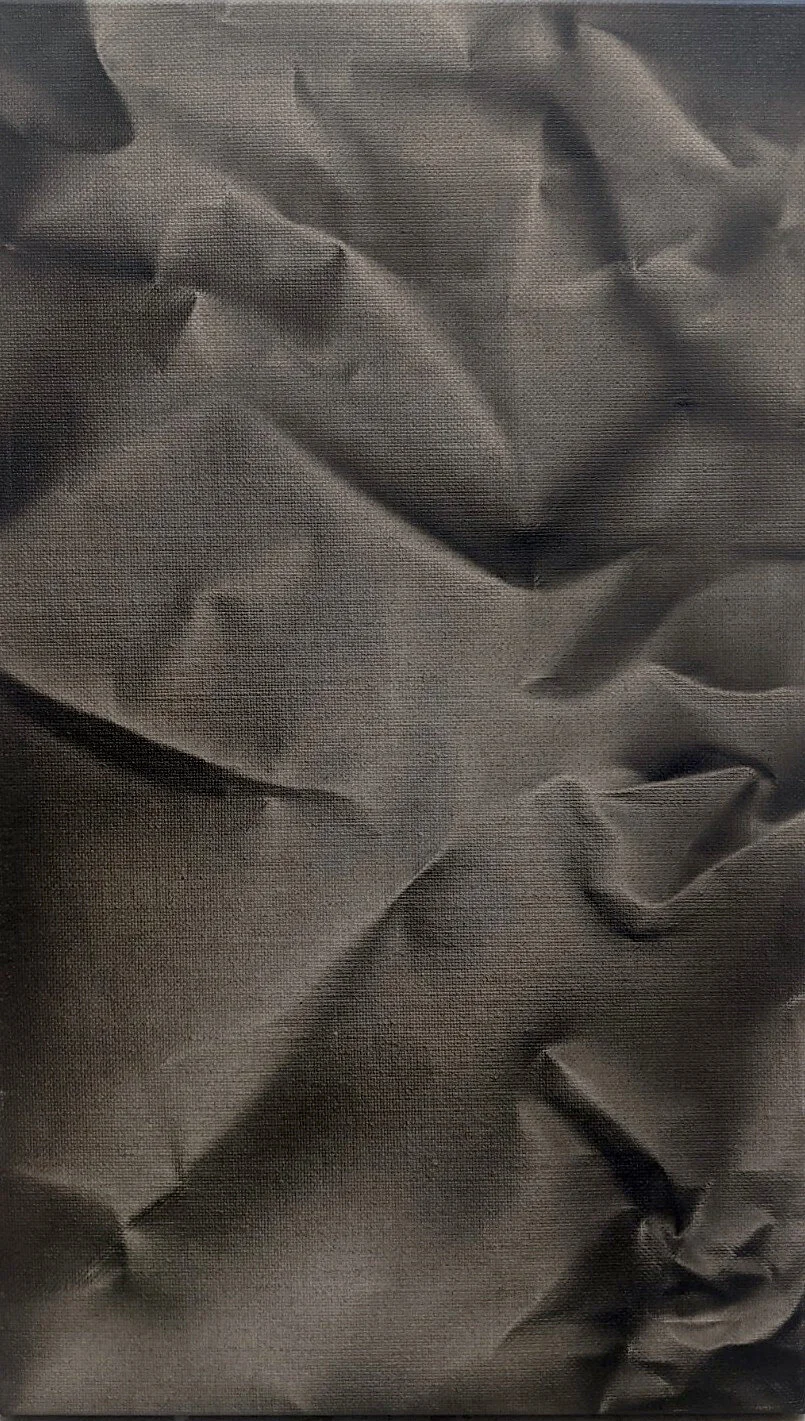 Segment:Slice, 36x61, Heavy Weave Belguim Linen, 2020 (Crop).jpg