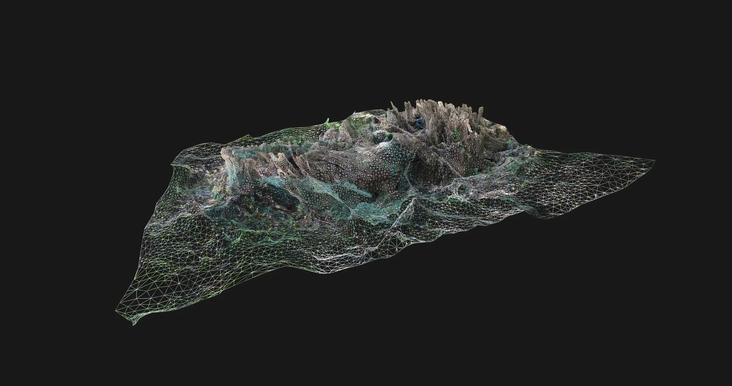 'Hollowed Sentinel'_Video_Dimensions Variable_2025.jpg