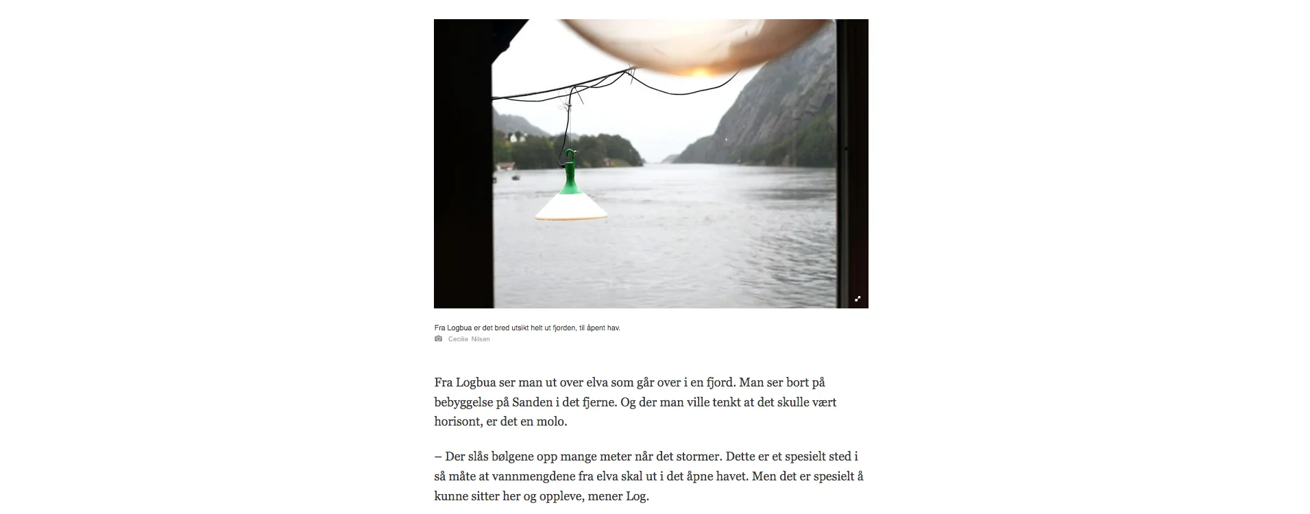 15.jpg