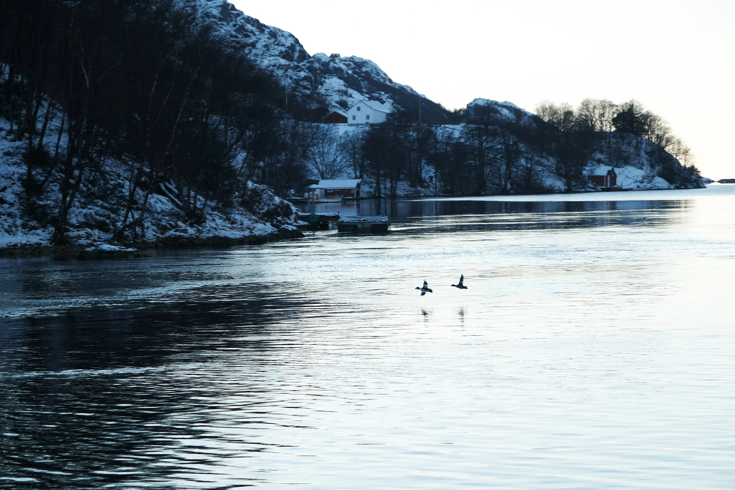 Our goal is to create a meditative retreat where occupants can unwind, relax and reconnect with nature in comfort.