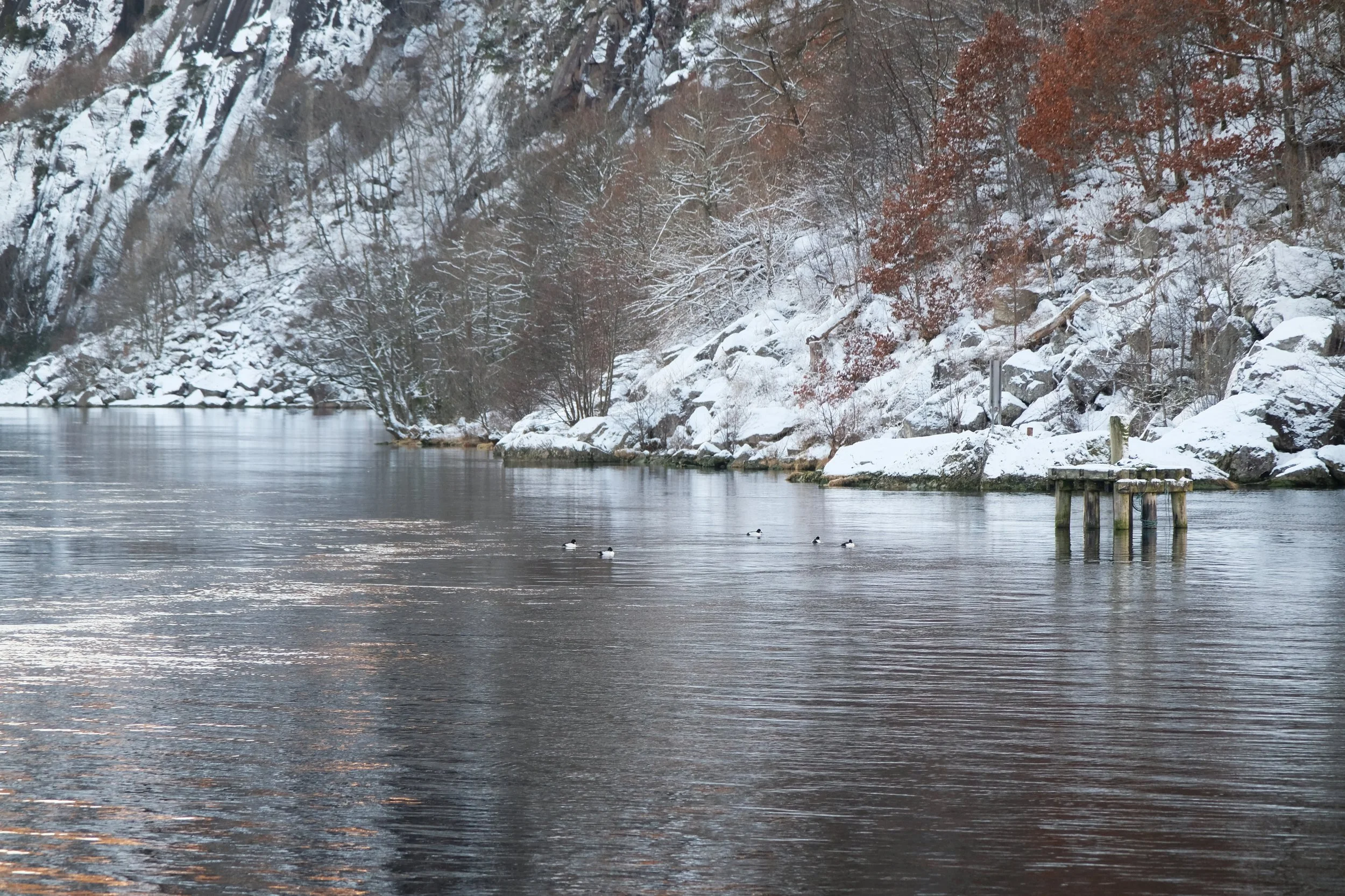 Team-building close to nature. We can organize a special team-building event  for you and your collegues. More bedrooms can be added.