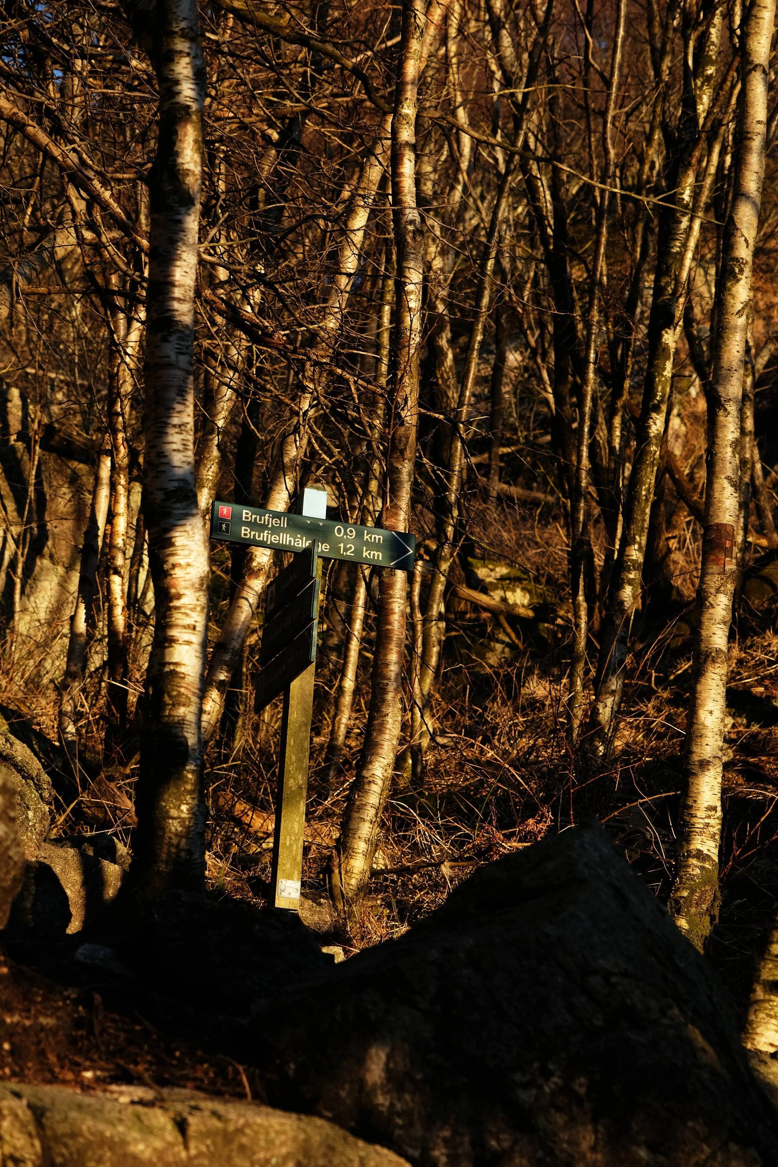 We love hiking! We love nature!