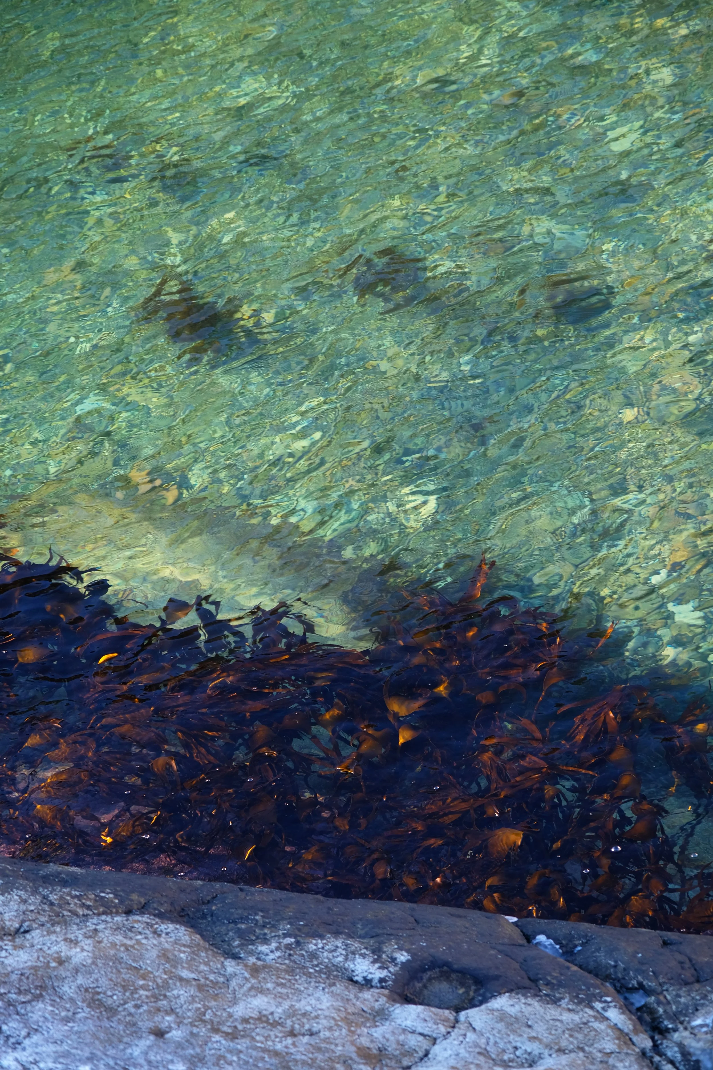 Transparent sea, all year around. In summer we can swim here.