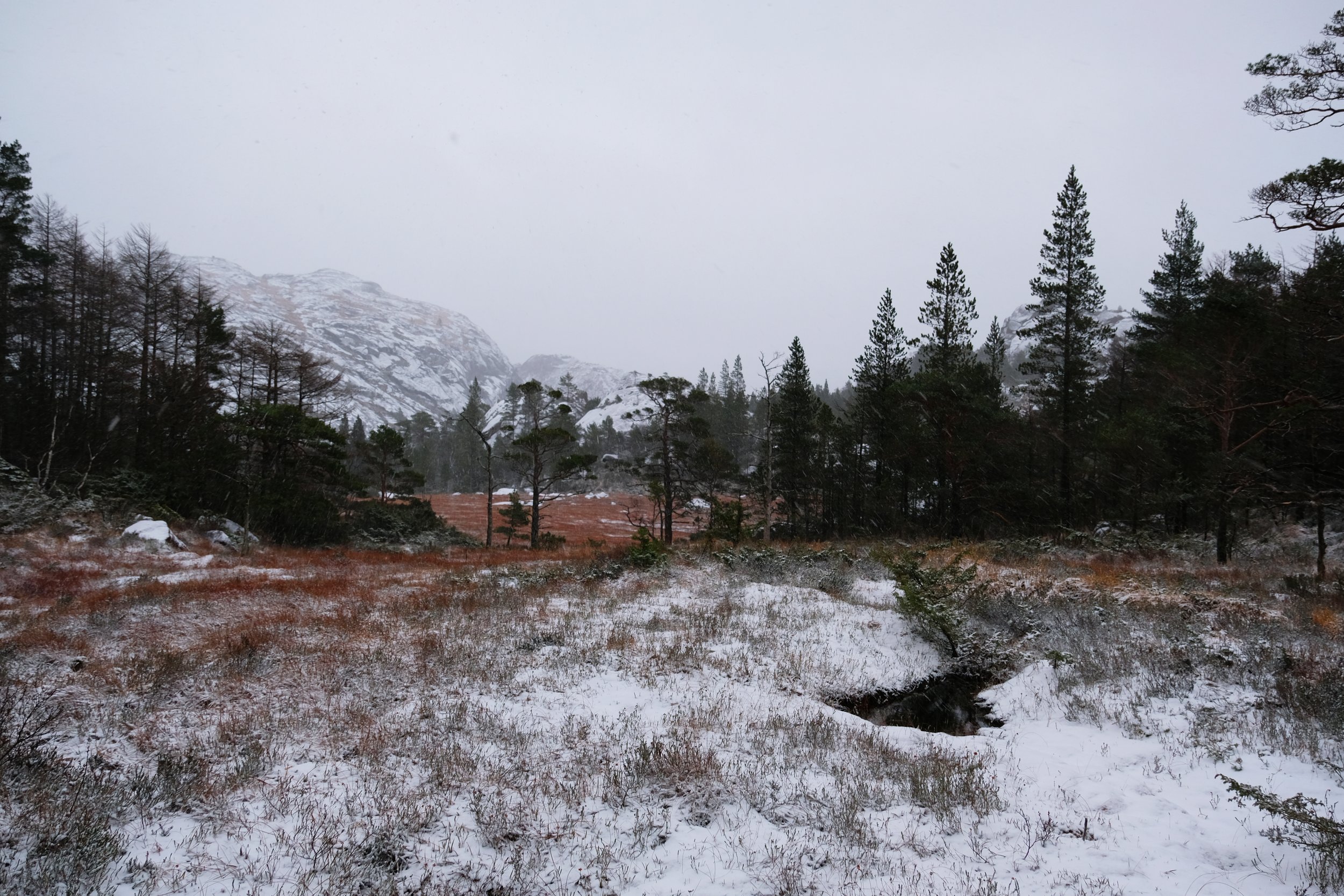 It is a tradition in Åna-Sira to lighten the "Varde" every 31th of December.