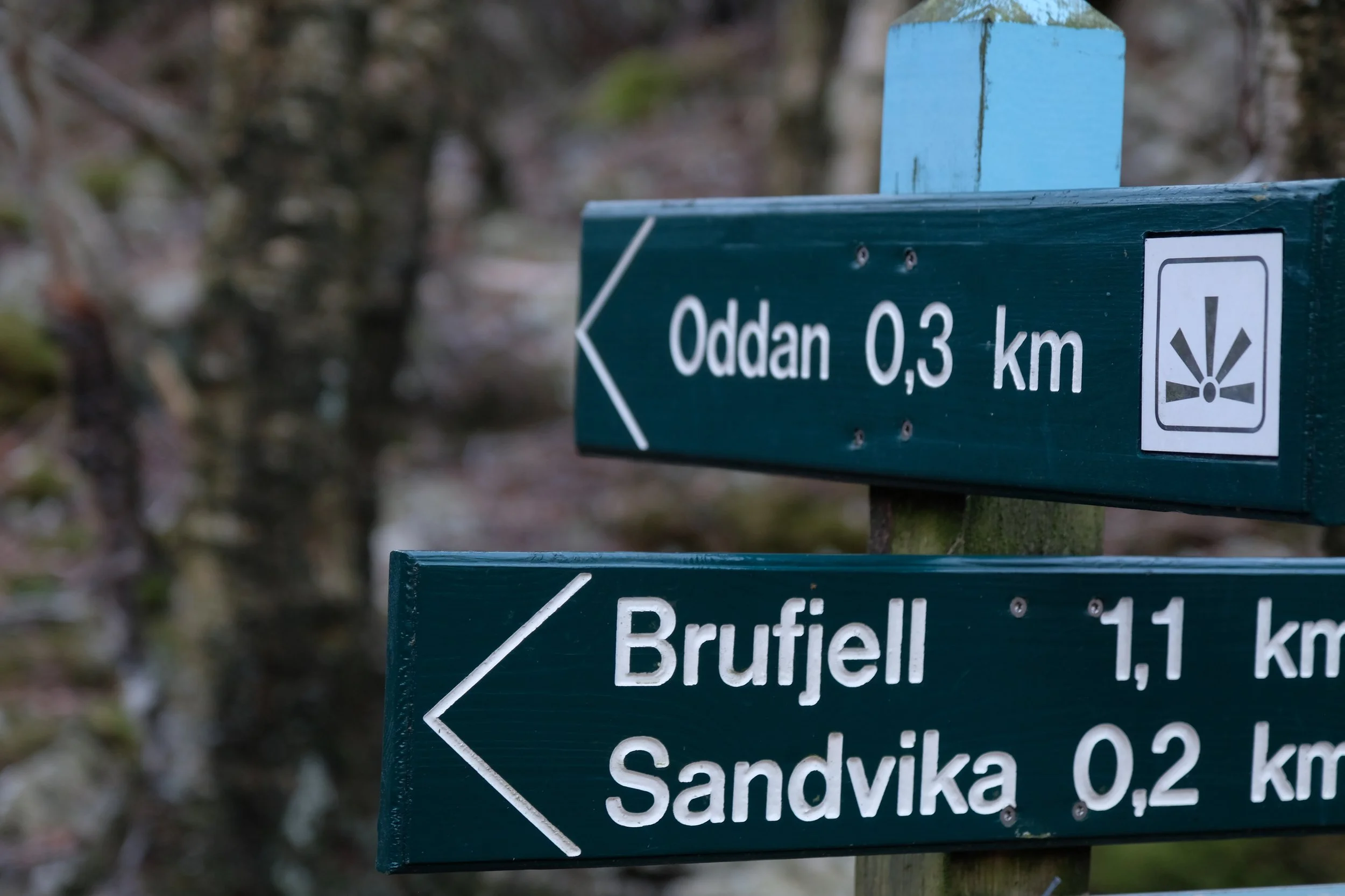 To combine a stay on Logbua and doing some of the 30 hiking trials in Åna-Sira can highly be reccomended.