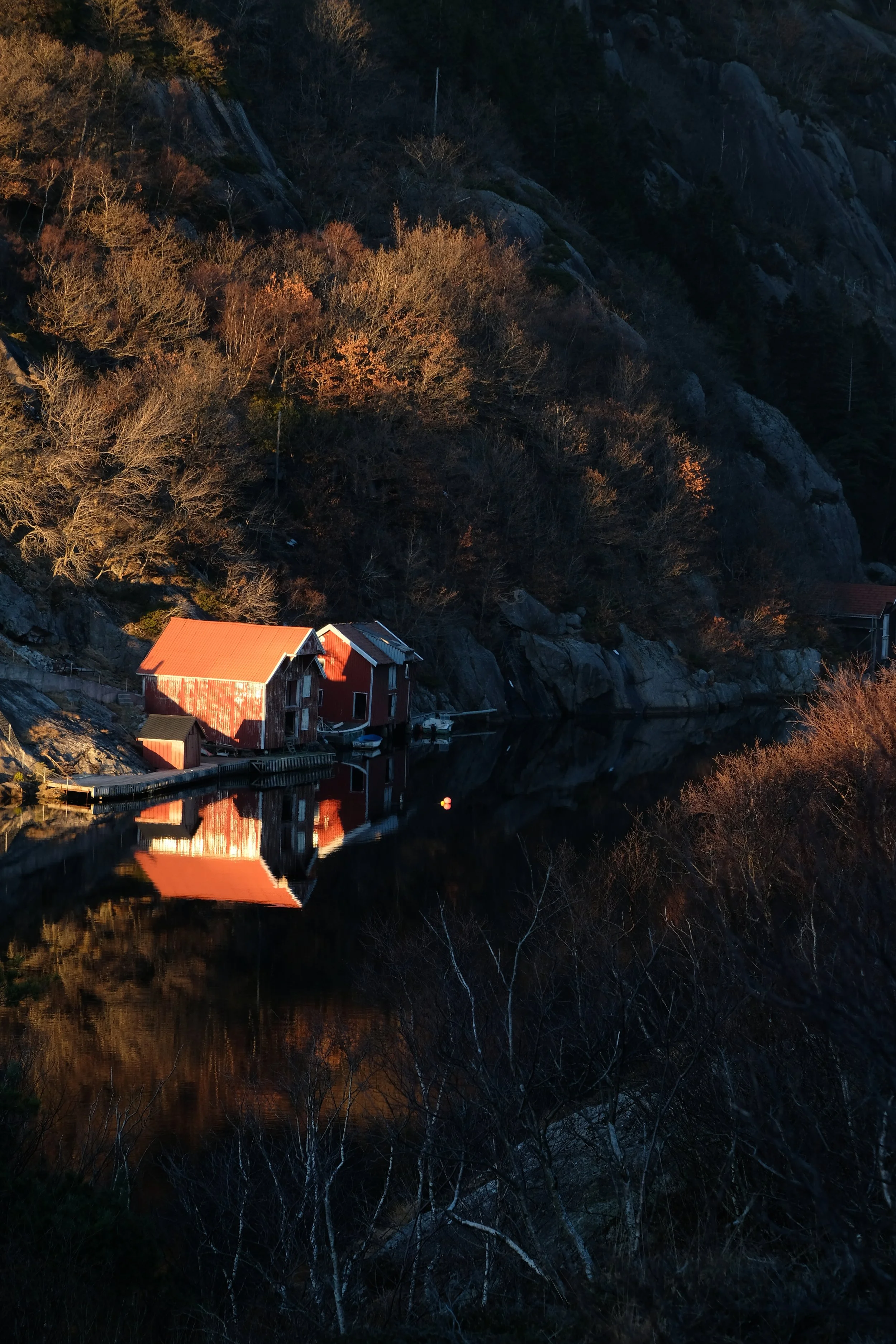 DSCF7773.JPG