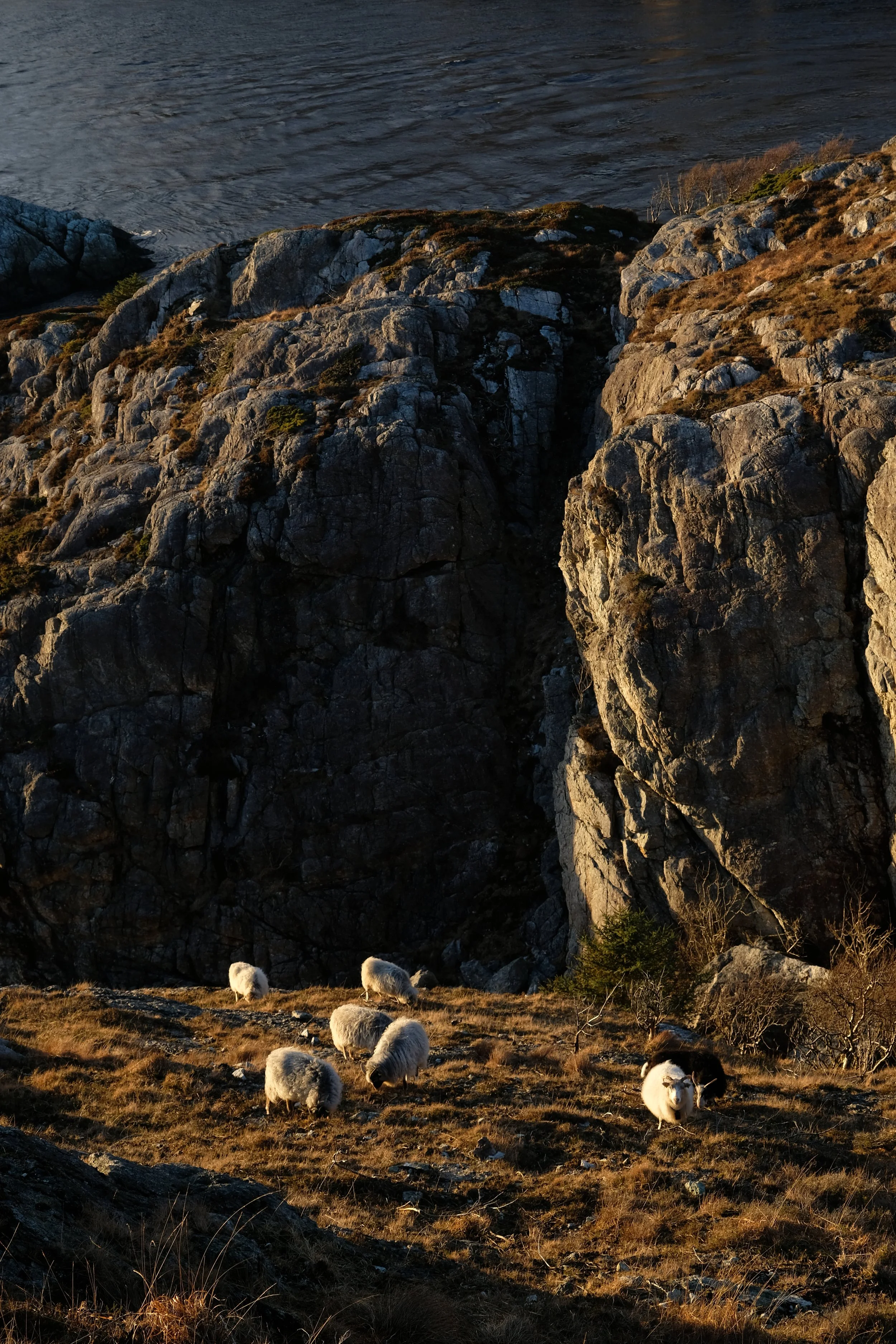 DSCF7861.JPG