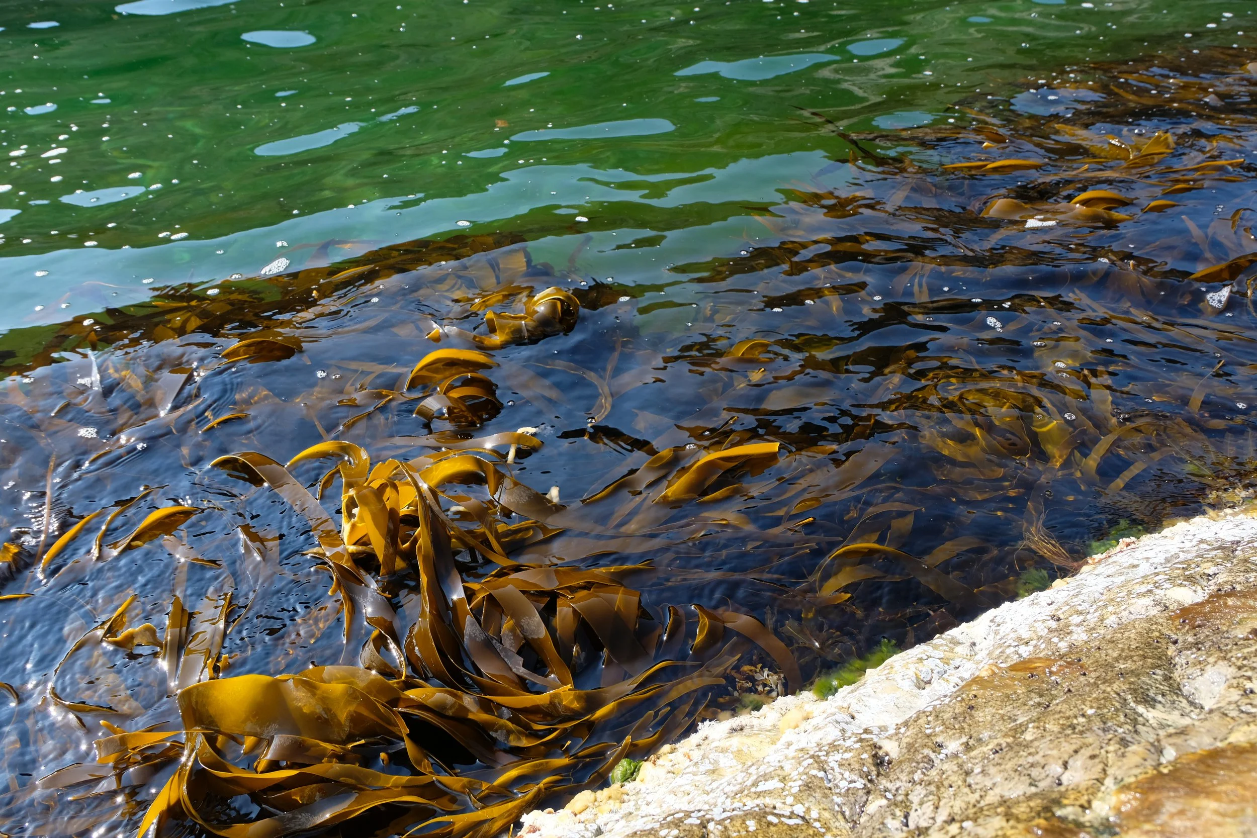 Sandvika Beach - Beautiful Sea!