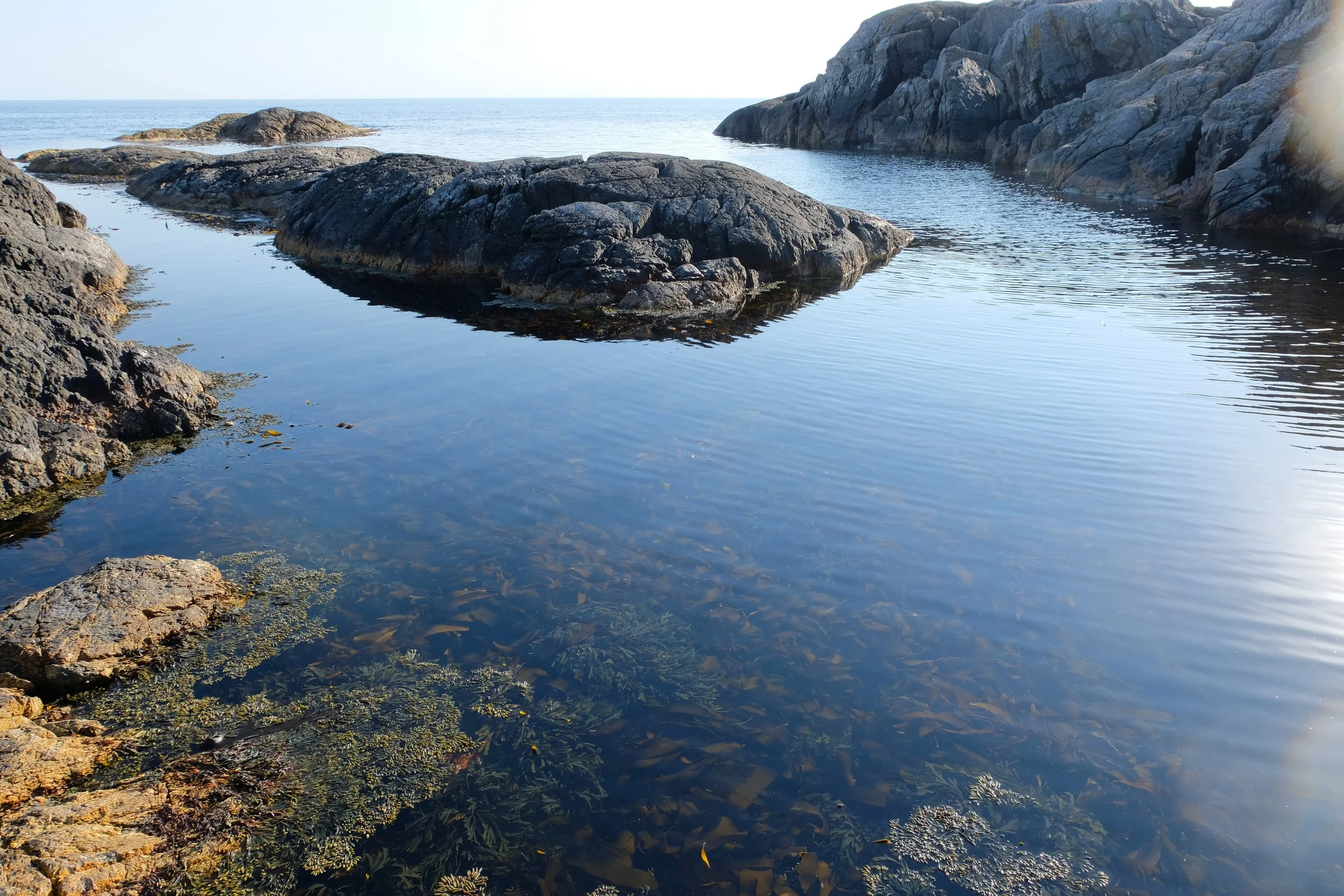 Skina - Close to Tele and Berrefjord in Åna-Sira