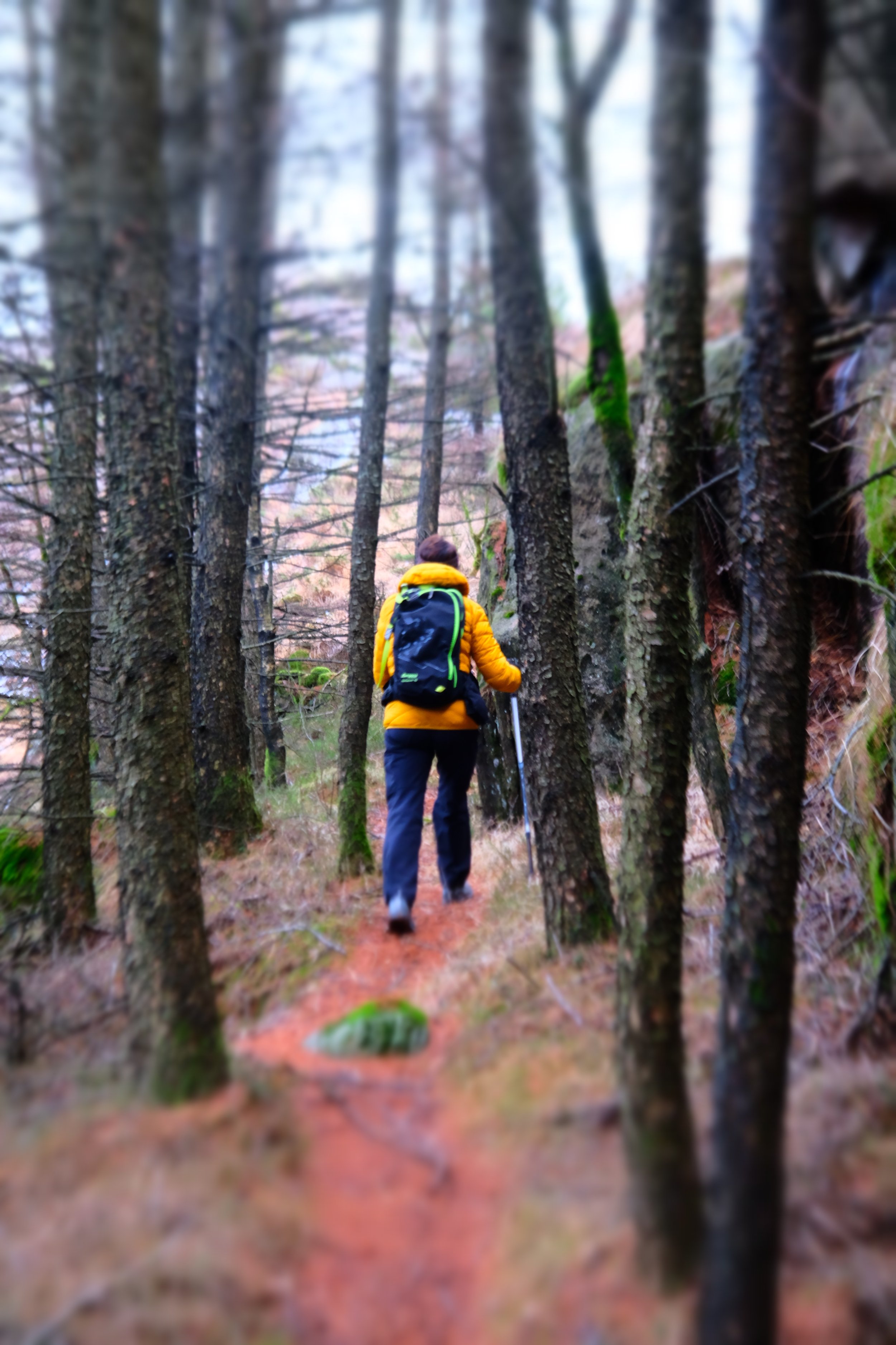 Last day of 2025, and the people from the village are hiking to Statens Varde, to put fire.