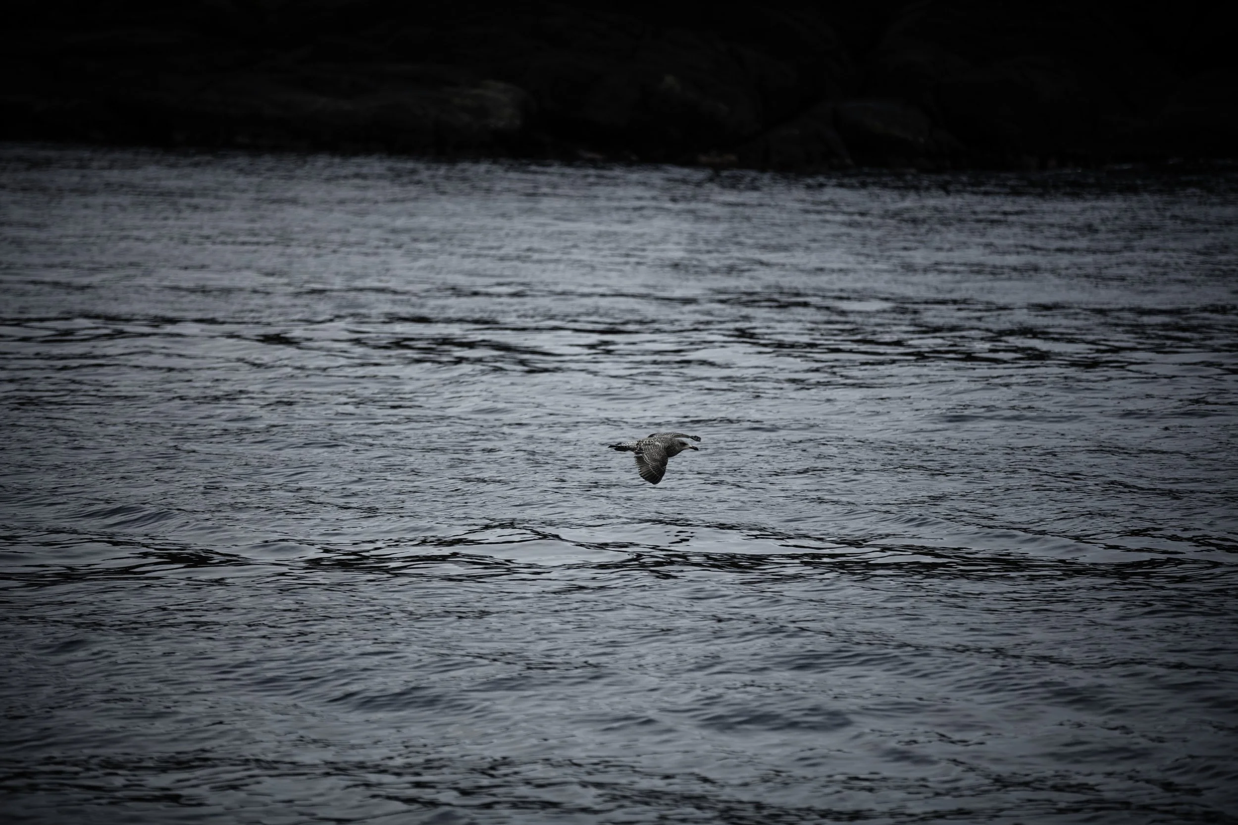 190320-Kirkehavn-3824-kopi 2.jpeg