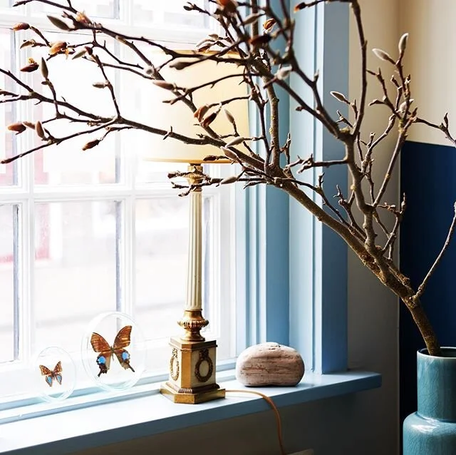 💛 SPRING | Did you realise that summer is around the corner? Amsterdam has been beautiful this spring. At our studio, within the canal bet. At Hester&rsquo;s home around the corner from the studio. We have gotten to know some of our neighbours. Without the AirBnB tourists, it has become a lot more personal this part of town. But the bars and restaurants.. We miss those!! .
.
.
.
.
.
.
.
#springinteriors #spring #blueinterior #weloveblue #interiordecoration #interiordecorationservices #interiordecorator #weekendvibes #interiordesignamsterdam #burokif #burokif_interiordesign #hesterstolk