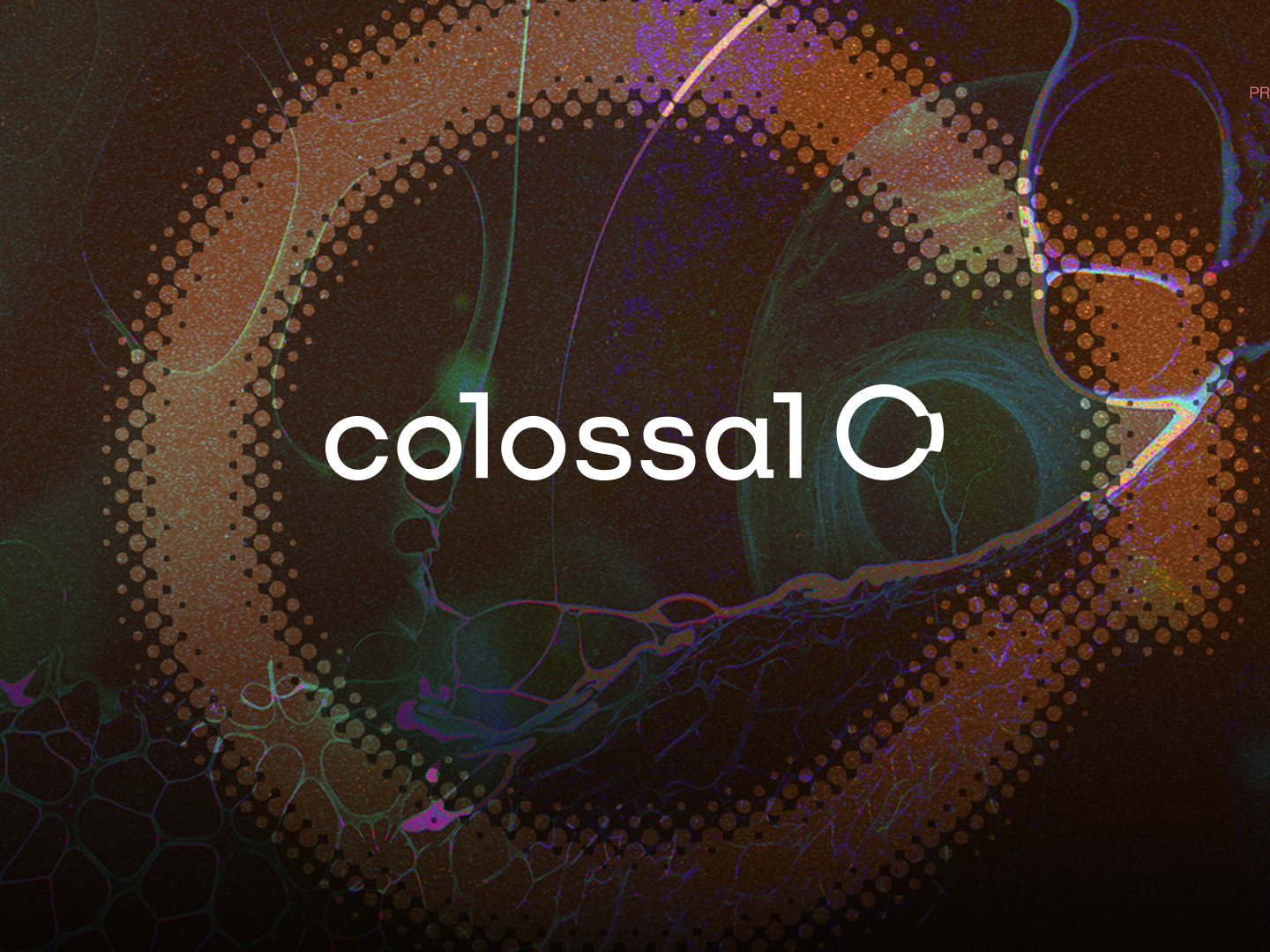 colossal_header3.png