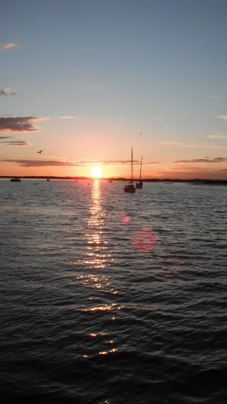 DSCF1594.jpg
