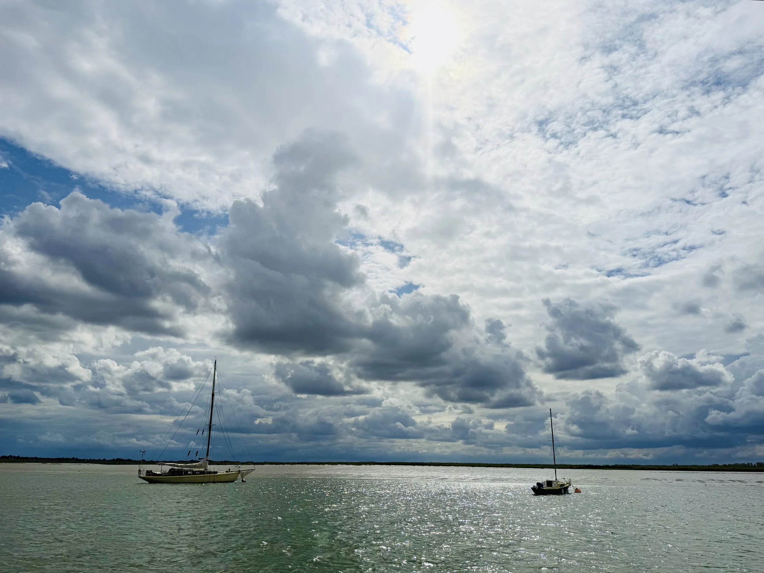 IMG_2835.jpeg